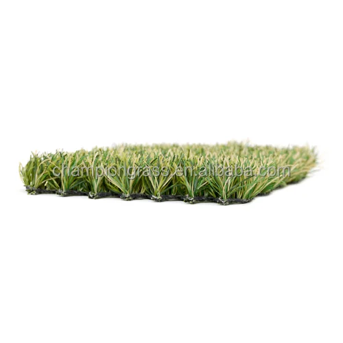 Chinese Factory Direct for Ultimate Landscape Hybrid Grass Innovation