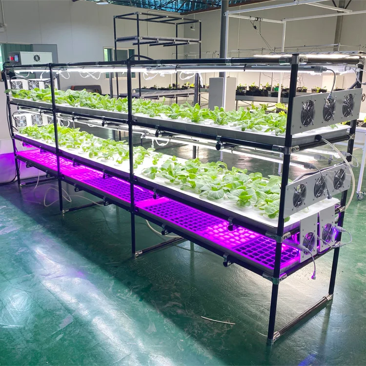 organic indoor farming microgreens diy hydroponic vegetable growing rack with led grow lights