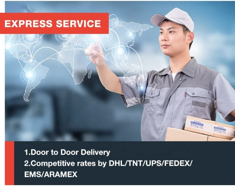 Professional  and Fast cargo logistics from China to Belgium/Switzerland Transport Express ups dhl
