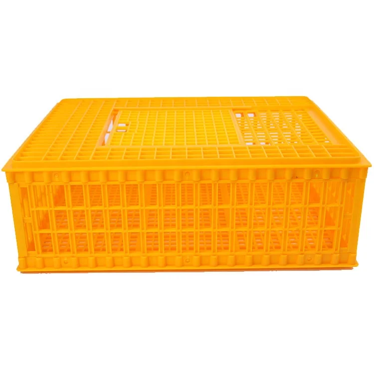 Plastic Chicken Transport Crate /Poultry Carrying Boxes /Used Poultry Cage