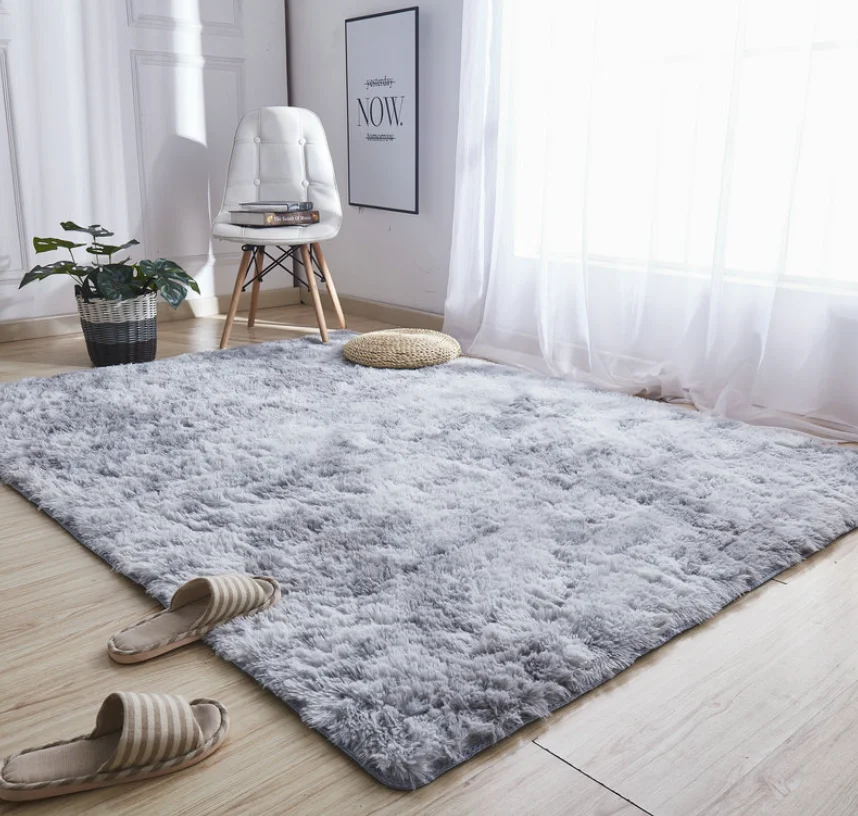 Long Fluffy Modern Design Area Rug Super Soft Floor Soft Touch Carpet Soft Living Room Area Rug