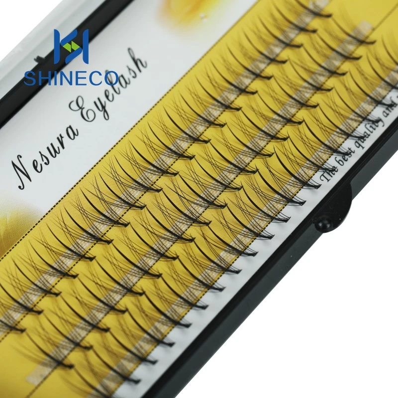 Lash Premade Pre Fan Las Individual Nesura Extension Eyelash Cases Made Lashes Cluster Eyelashes Fans Volume Trays Extensions