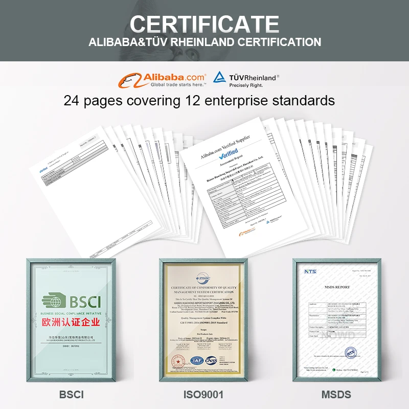 Free Samples Arena Para Gatos Strong BSCI MSDS Certificate Clumping Bentonite Cat Litter Sand