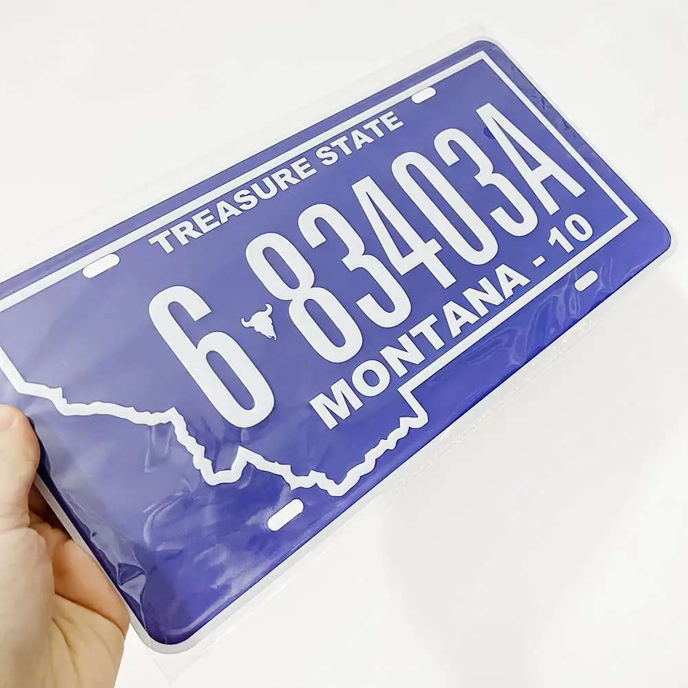 Hot Sale Products Oem Embossed License Plates Custom China Metal Number Car License Plate