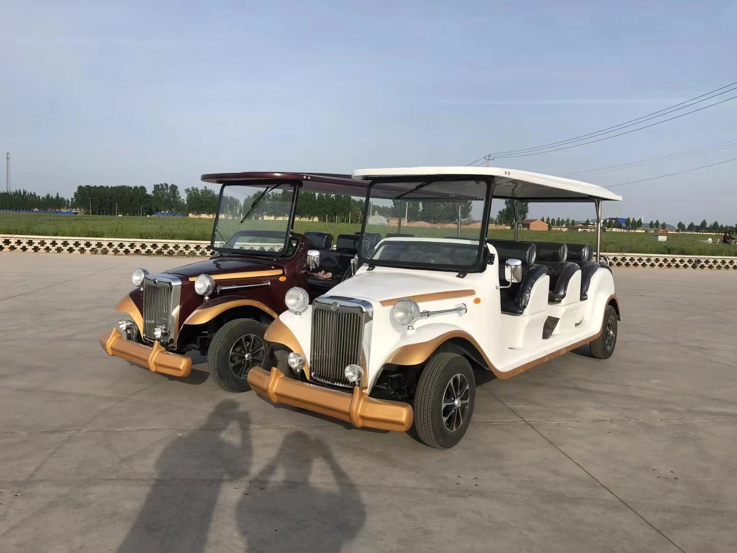 Vintage Cart for 11 Passengers Electric sightseeing Bus for sale