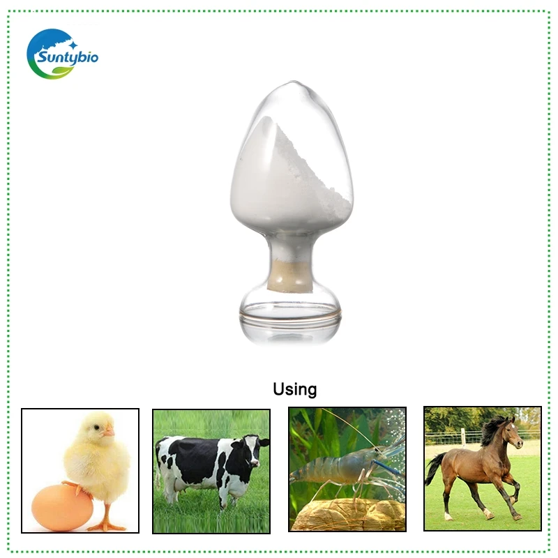 High Quality Feed Additive Natural Antibiotic Expelling Parasite High Quality Allicin Powder