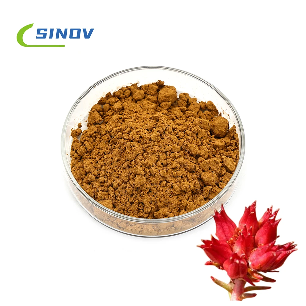 Sinove Natural Pure 1%~5% Rosavin Salidroside Rhodiola Rosea Extract