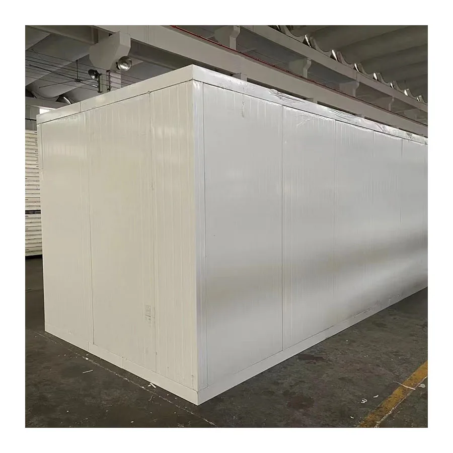Wholesale Meats For Sale High Speed Storage Freezer Frozen Cold Room Door