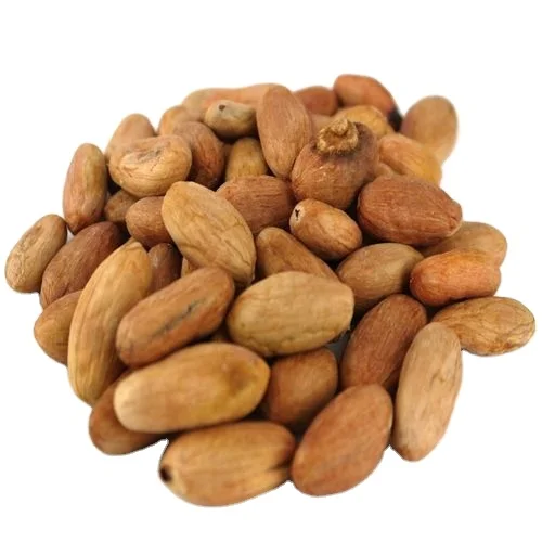 Dried Raw Cocoa Beans Weight Origin Type Variety Cacao Size Grade Place Model Maturity Criollo