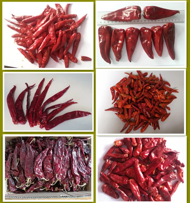 sanying chilli_.jpg