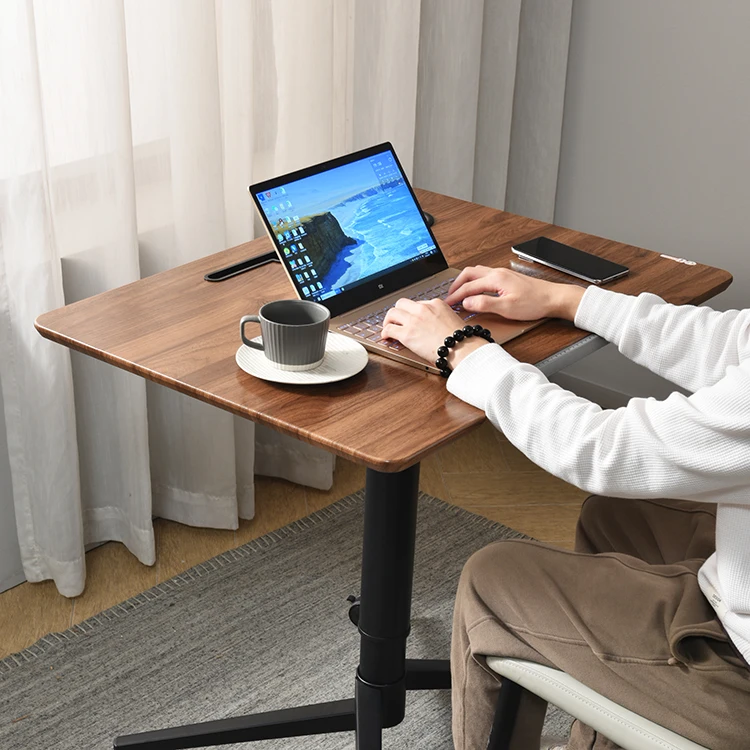 Height Adjustment Laptop Workstation Mobile Sitting Standing Writing Painting Desk Computer Table for Home Office