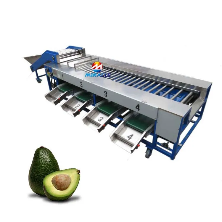 5 grading sweet potato avocado sorting machine tomato sorting machine
