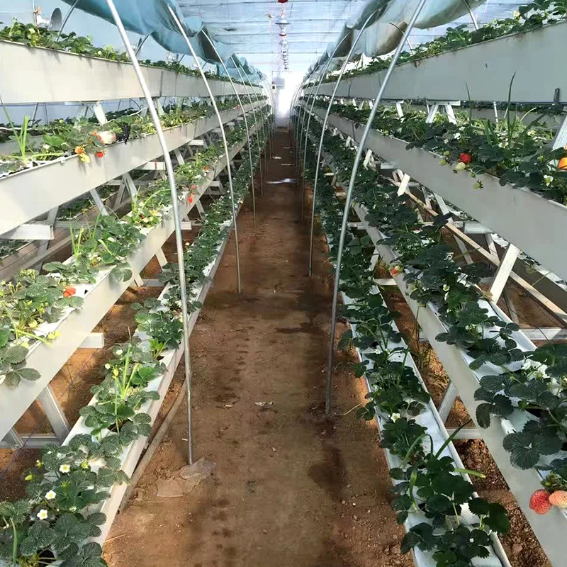 Hot Sale Agricultural Greenhouse strawberry gutter Used Hydroponic PVC Trough Hydroponic Planting Gutter For Strawberry