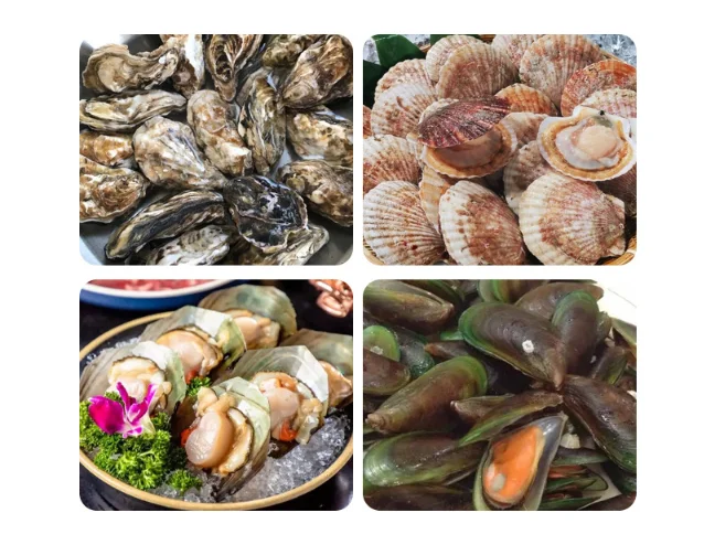 Professional stainless steel Oysters Shucking knife seafood tool Scallop mussels oysters knife with Premium Quality PP handle