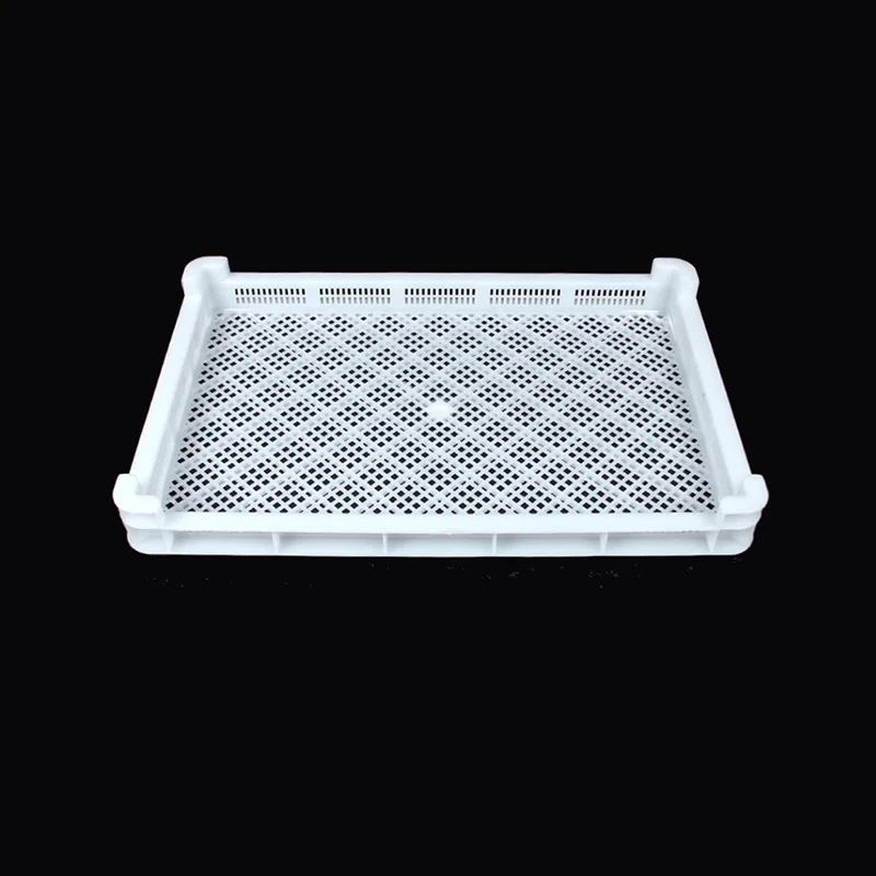 
New type fruit/mushroom/vegetable/drugs /sea cucumber plastic drying tray 