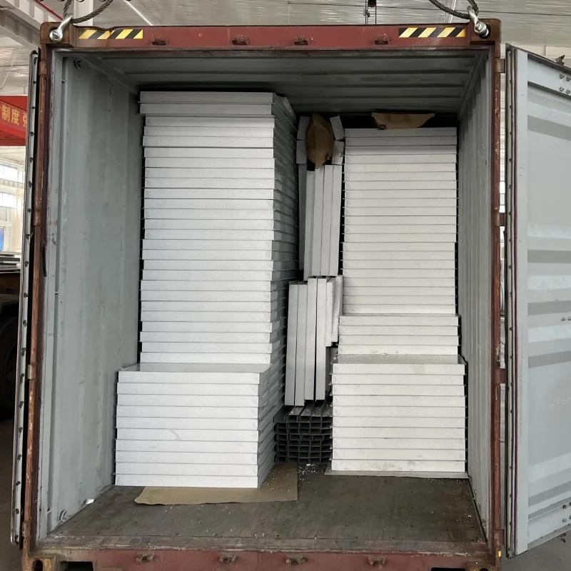 Цветные стальные изолированные сэндвич-панели PIR/PUR/Rock Wool/EPS для крыши и стены холодильной комнаты/склада