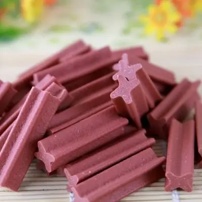 dog chewing pet food making production machine