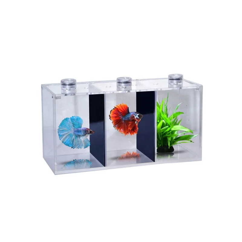 Clear Rectangle Acrylic Fish Tank Stand Guangzhou Supplier Mini Aquarium Customized