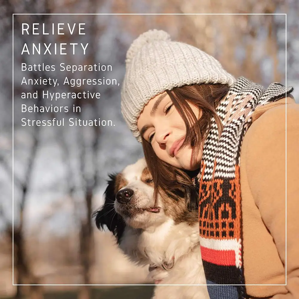 
2020 new style Hemp CBD Oil for Dogs for pet NO GMO Best Quality with Best price 