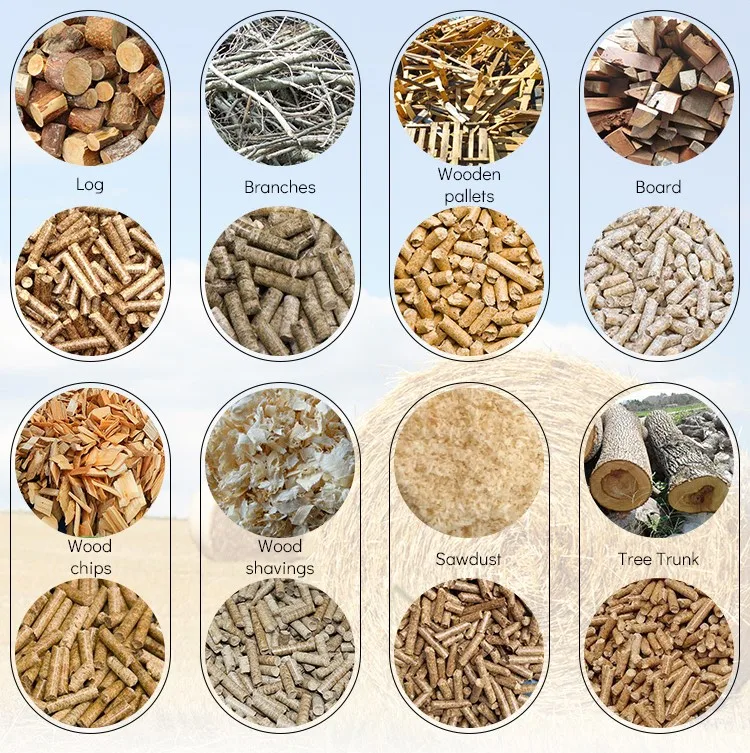 Environmentally Friendly Multifunctional Pelet Pellets Machine Wood Pellet Line Production