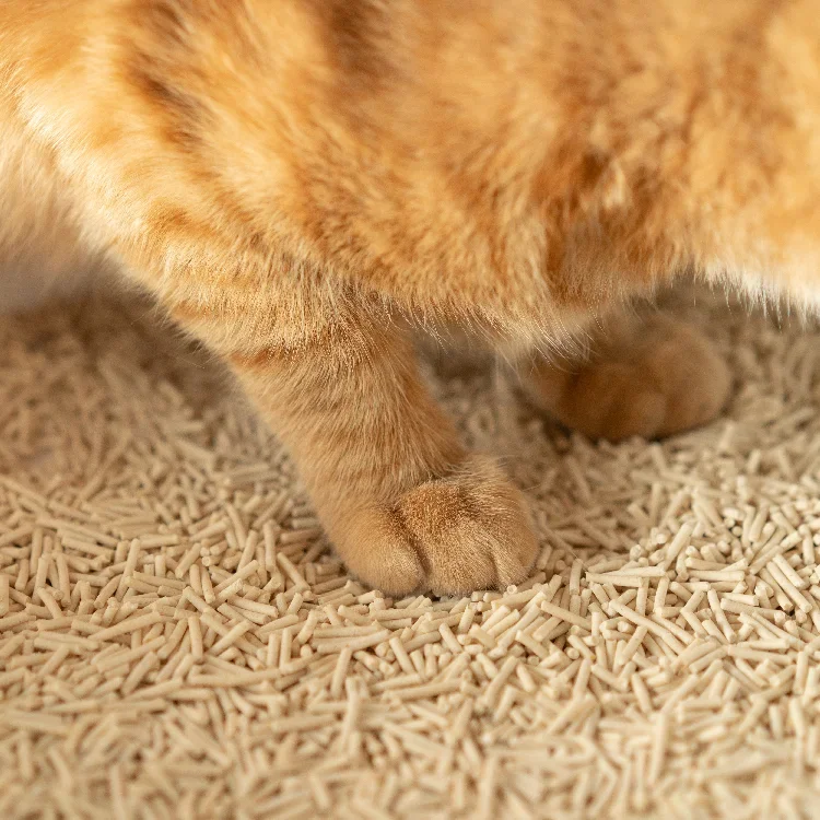 eco-friendly natural flushable Dust Free factory price coffee scented tofu cat litter 2mm 100% pure tofu cat litter