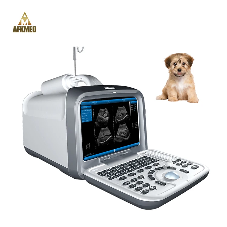 Vet Veterinary Medical Hospital Laptop Portable pet 3d Black and White Ultrasound Machine Scanner for Vet Pregnancy