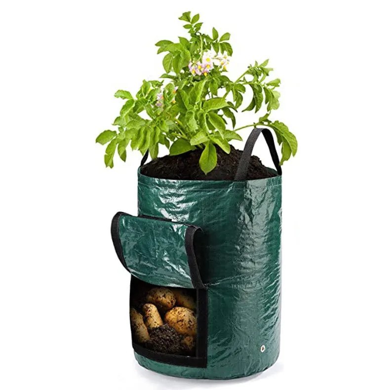 10 Gallon Custom Hot Seller Biodegradable Garden Potato Flower Vegetable Plant Felt Grow Bag Tomato Planting Pots Container