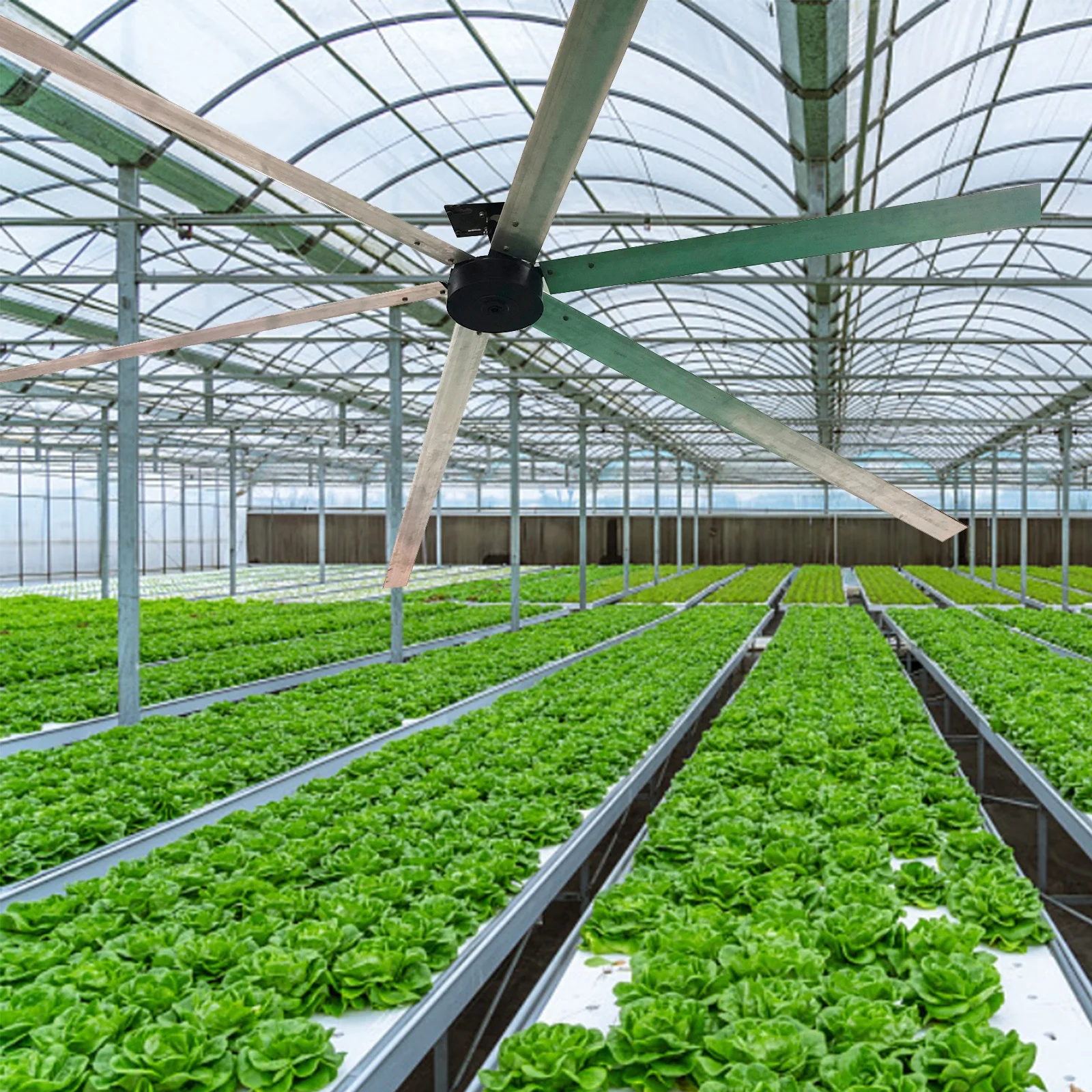 AMTHI Low Cost 5.5m 18 Feet 1.5KW PMSM Motor Large Industrial Ceiling Fan for Patio