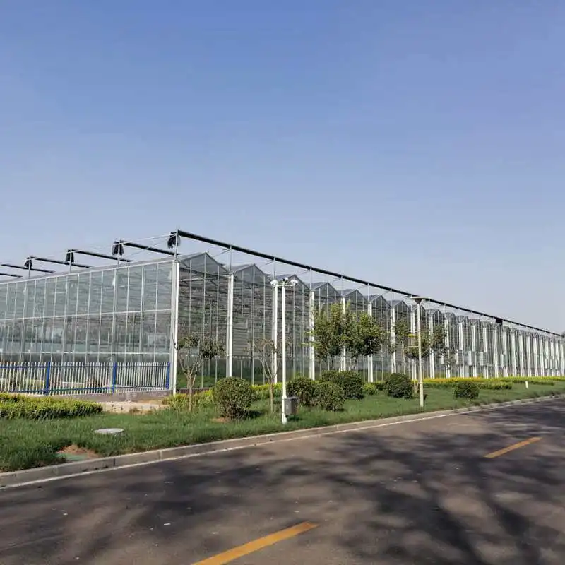 smart full automatic multi span blackout greenhouse tempered glass made in China