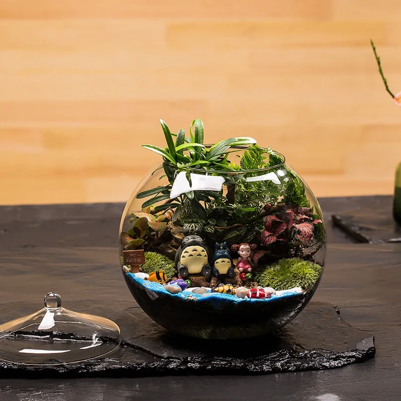 Стеклянная террариумная основа и крышка/ваза для террариума с крышкой/ваза деревянным украшением дома Современная ручная свадьба