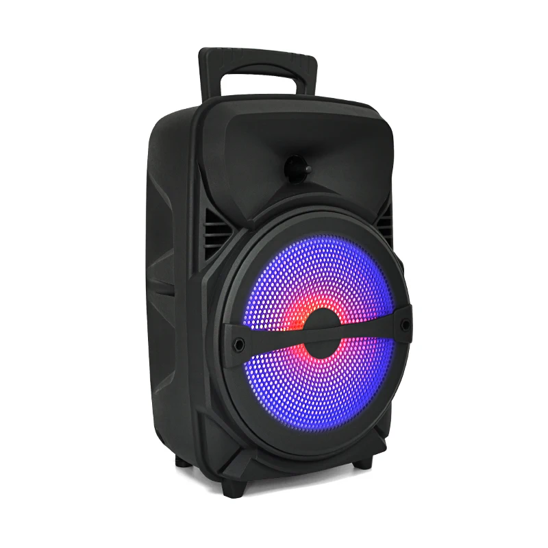 Manufacturer subwoofer big powered 8 inch HIFI Portable Wireless Blue tooth pa outdoor DJ bass party karaoke trolley Speaker