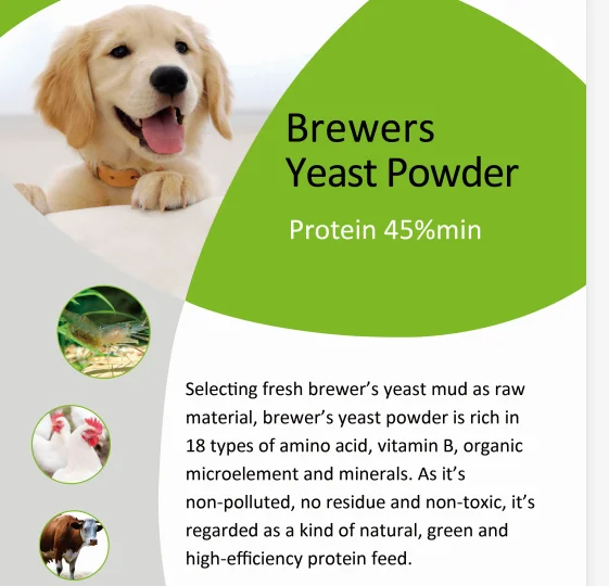 Brewer Yeast Powder China Golder Supplier