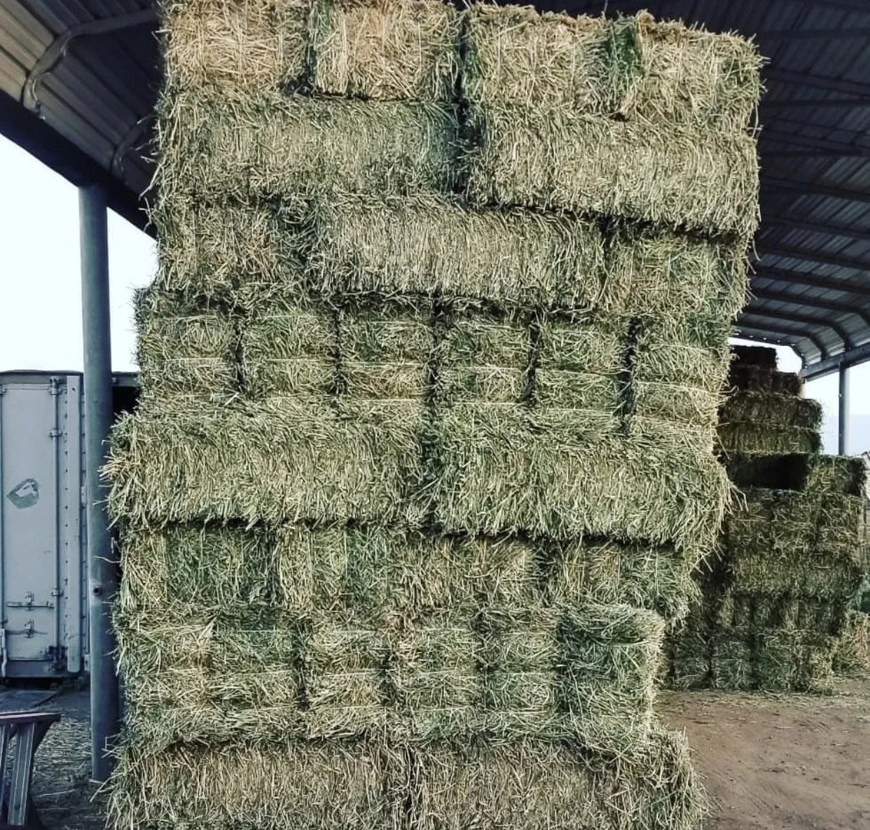 Original Timothy Alfafa Hay / Rhode Hay