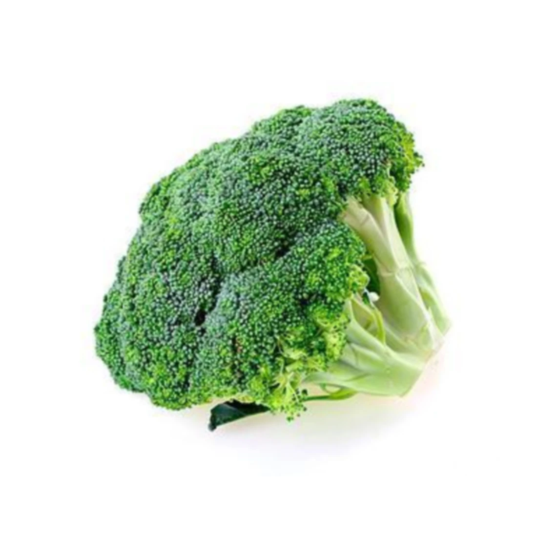 Chinese wholesale New crop high quality bulk fresh vegetable broccoli
