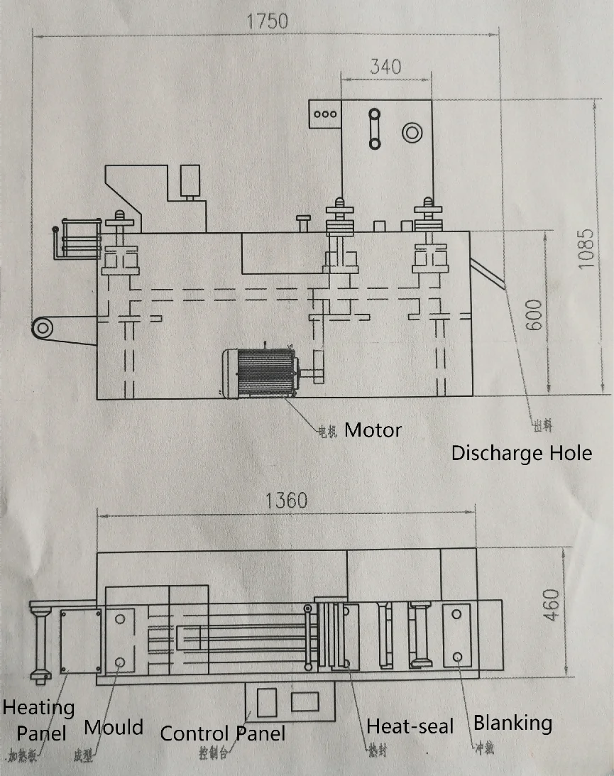 Plate Type Blister Packing Machine Pharmaceutical automatic Strip Sealing Alu PVC Forming Blister Packaging Machine