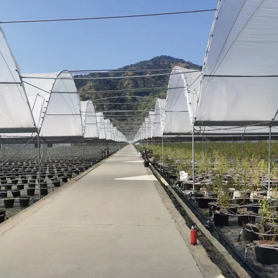 Grow Tents Galvanized Pipe Green House Conservatory Berry Greenhouse Rain Shelter