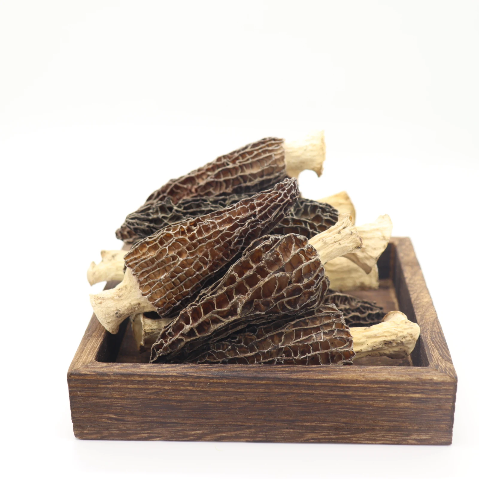 Высококачественный соляный гриб Morchella свежие морельные грибы оптовая цена морельный