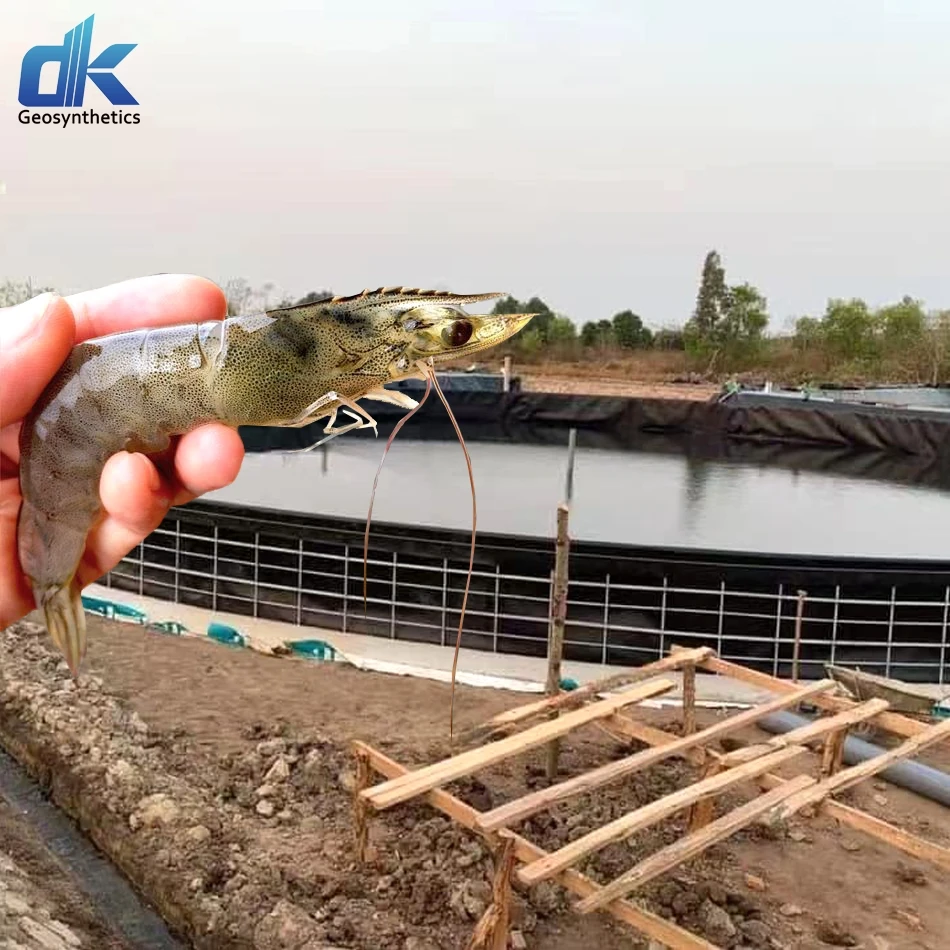 Геомембрана HDPE для аквариума оптовая продажа дистрибьютор 0 5 мм 75 1 прокладка hdpe креветочного пруда геомембрана