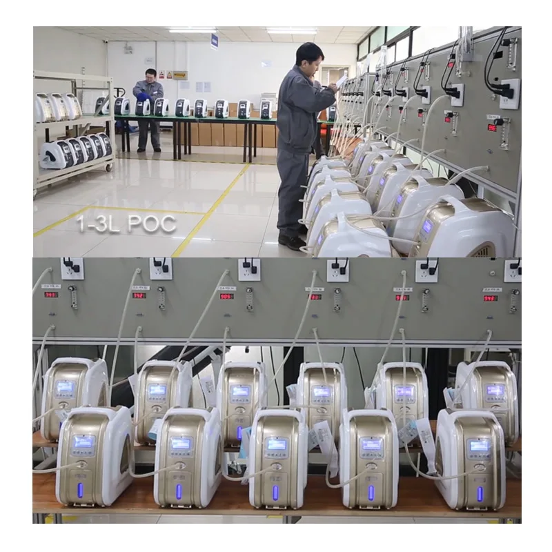 Most competitive small size light 3l portable oxygen machine