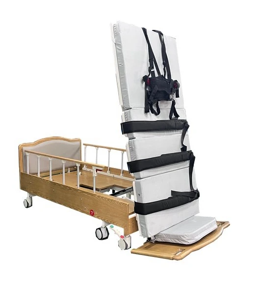 China supplier hot sale multifunction electric vertical bed back care bed with hand control