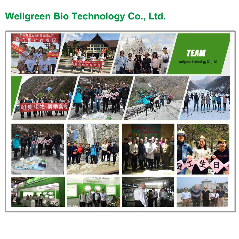 
Chaga Siberian Inonotus Obliquus Phaeoporus Obliquus Extract Powder 