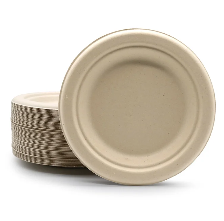 Holiday Party BBQ Daily Dinner Supplies BPA Free 9 Inch Sugarcane Bagasse Biodegradable Disposable Paper Dinner Plate