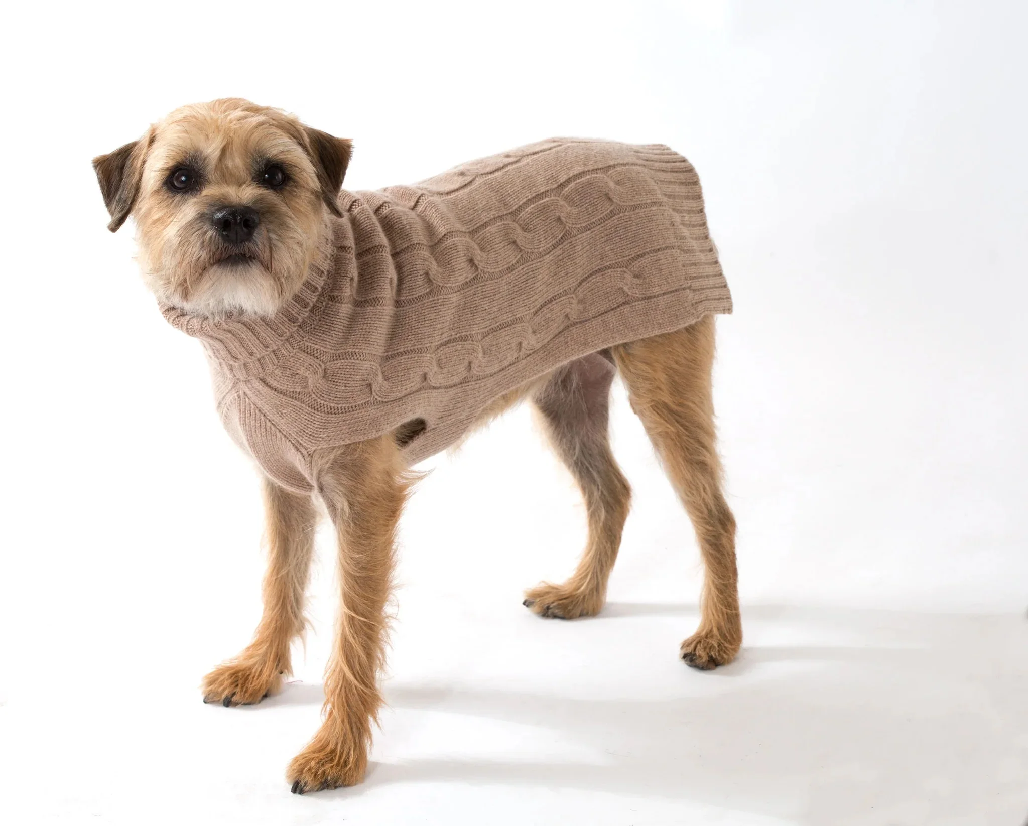 dog sweater 100% cashmere dog clothing