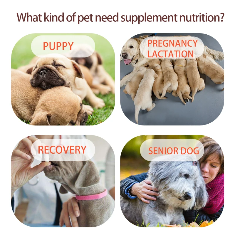 Dog nutrition paste vitamin supplement for wholesale price for ODM