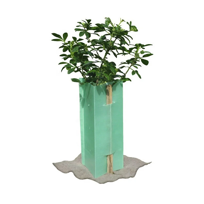 Plant And Tree Guard Protectors In Outdoor Garden