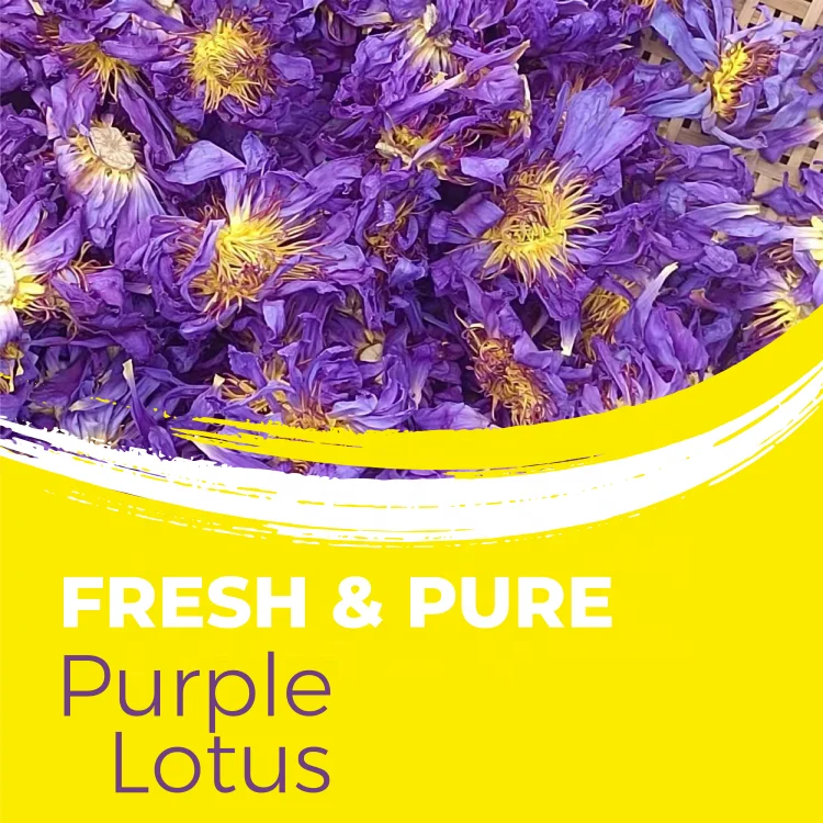 Customized Packaging Whole Flower Blue Purple Lotus Tea