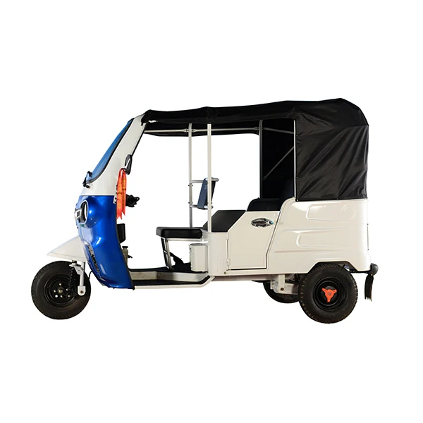 2024 New style Three Wheeler Electric auto rickshaw super power taxi tuktuk 5000W motor transport for passenger