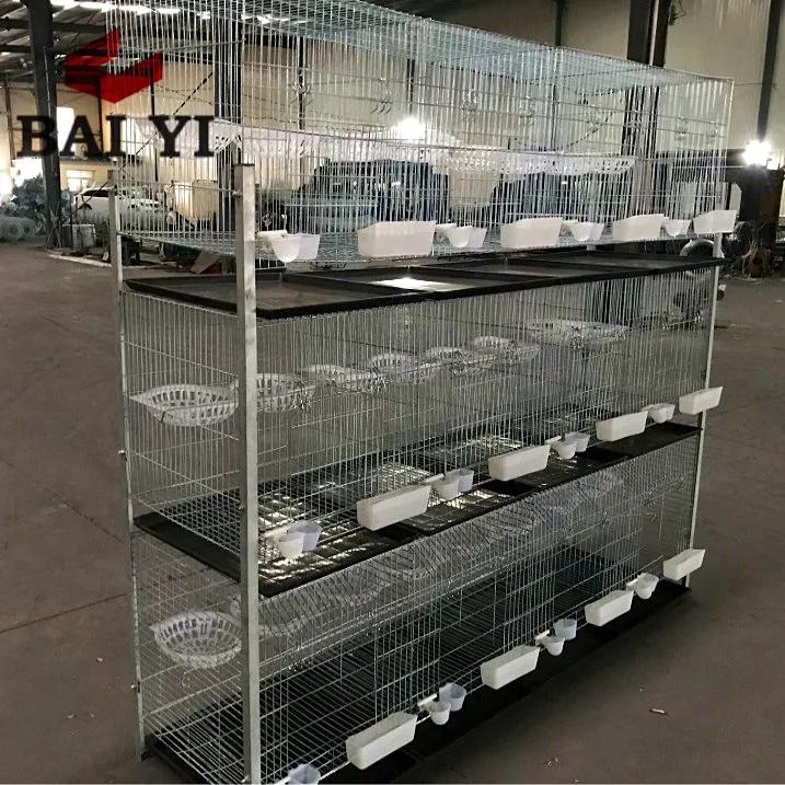 Pigeon Quail Battery Cage with Auto Water System