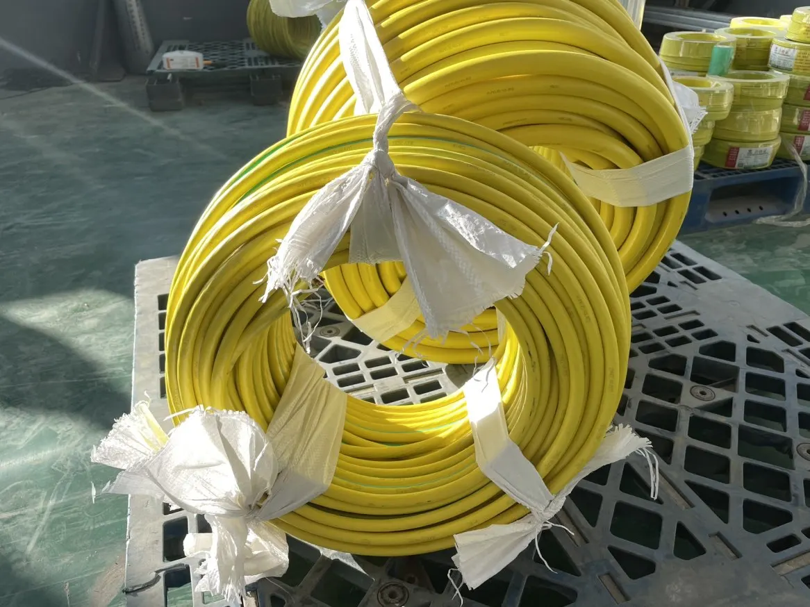 600V Thhn/Thwn/Thwn-2 14 12 10 8 6 4 3 2 1/0 4/0 AWG 400MCM Copper Conductor PVC insulation Nylon sheath Electrical Cable