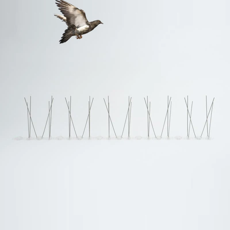 Factory Supply Bird Control Tools SUS304 Stainless Steel Bird Spike